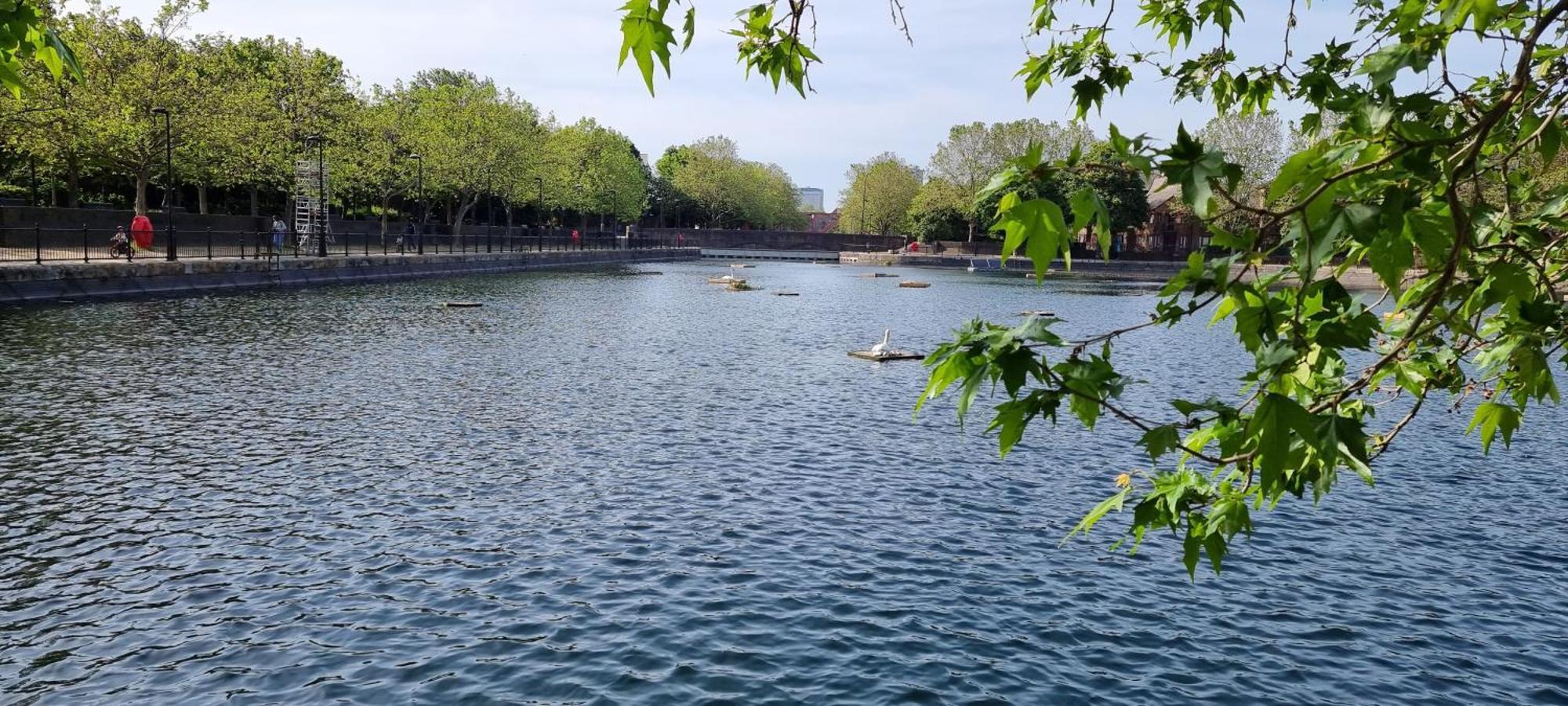 Riverside 3Br With Easy Transport 20Mins To City Centre ลอนดอน ภายนอก รูปภาพ